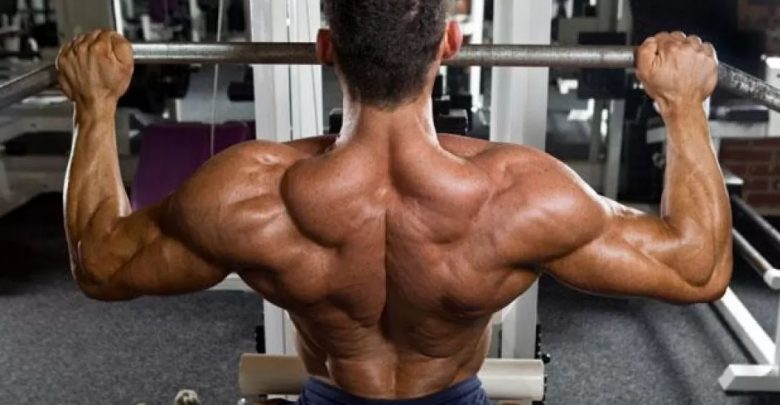 What Muscles do the Lat Pulldown Work On