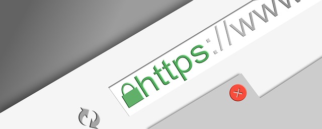 https SEO tip