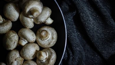 Mushrooms to Boost Energy and Performance