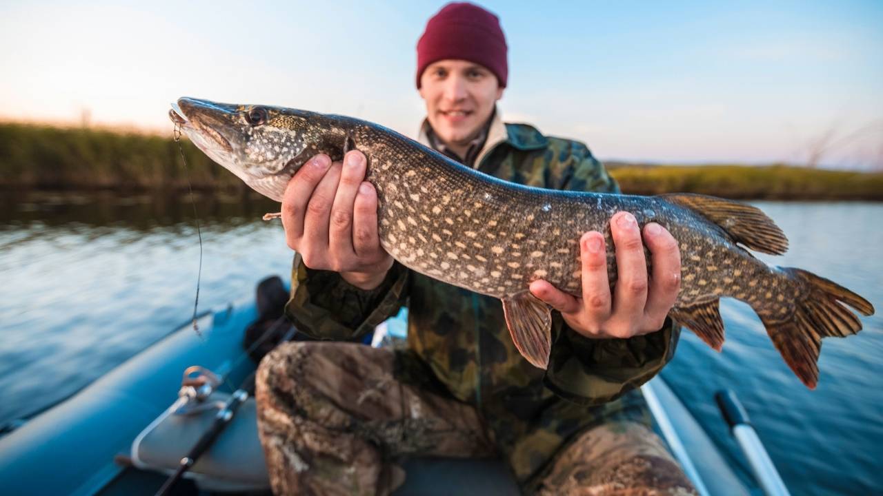 A man with fish in hand after fishing