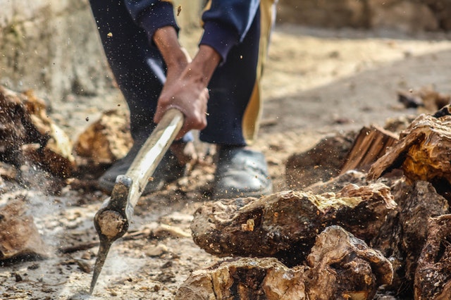 A man using an axe to cut trees