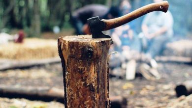 An axe in a wood