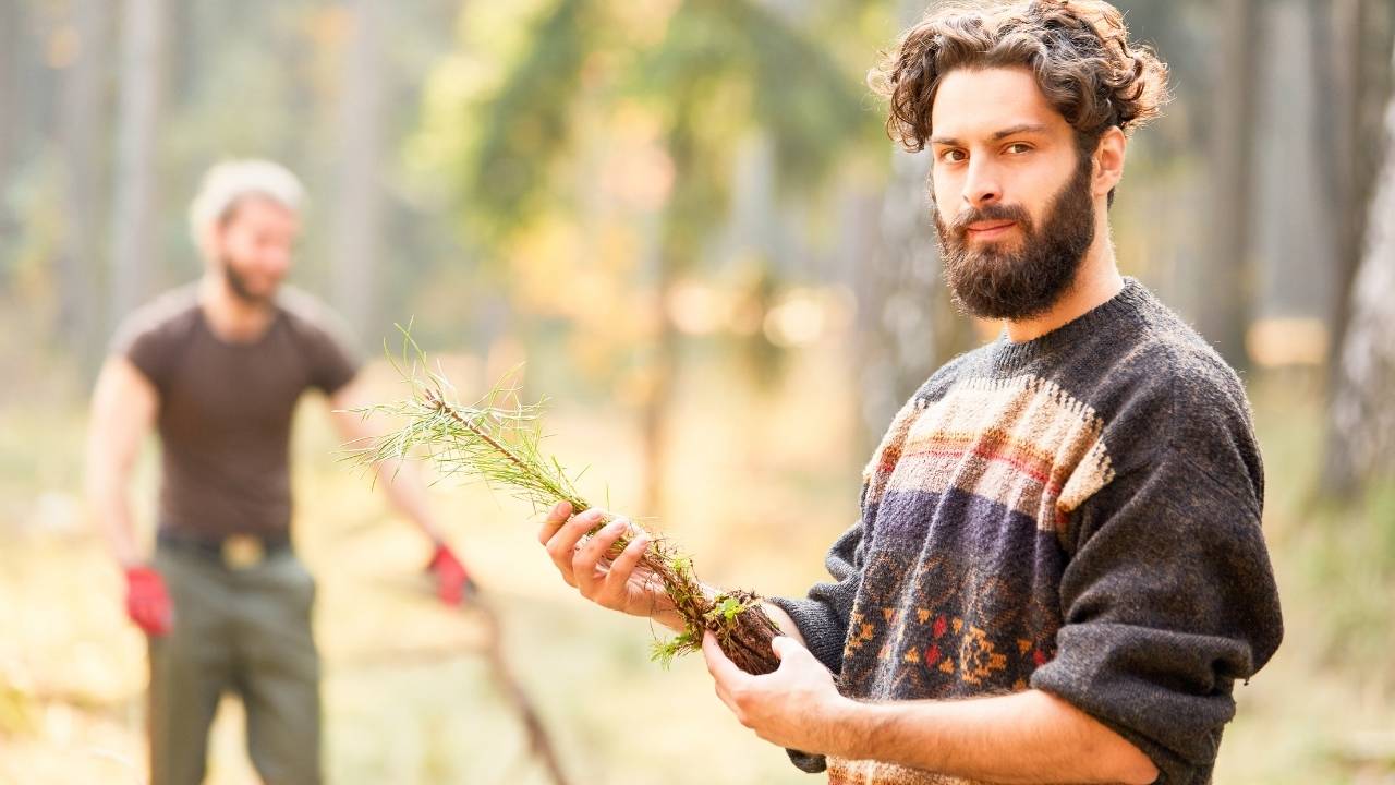 A man growing trees on Sunday