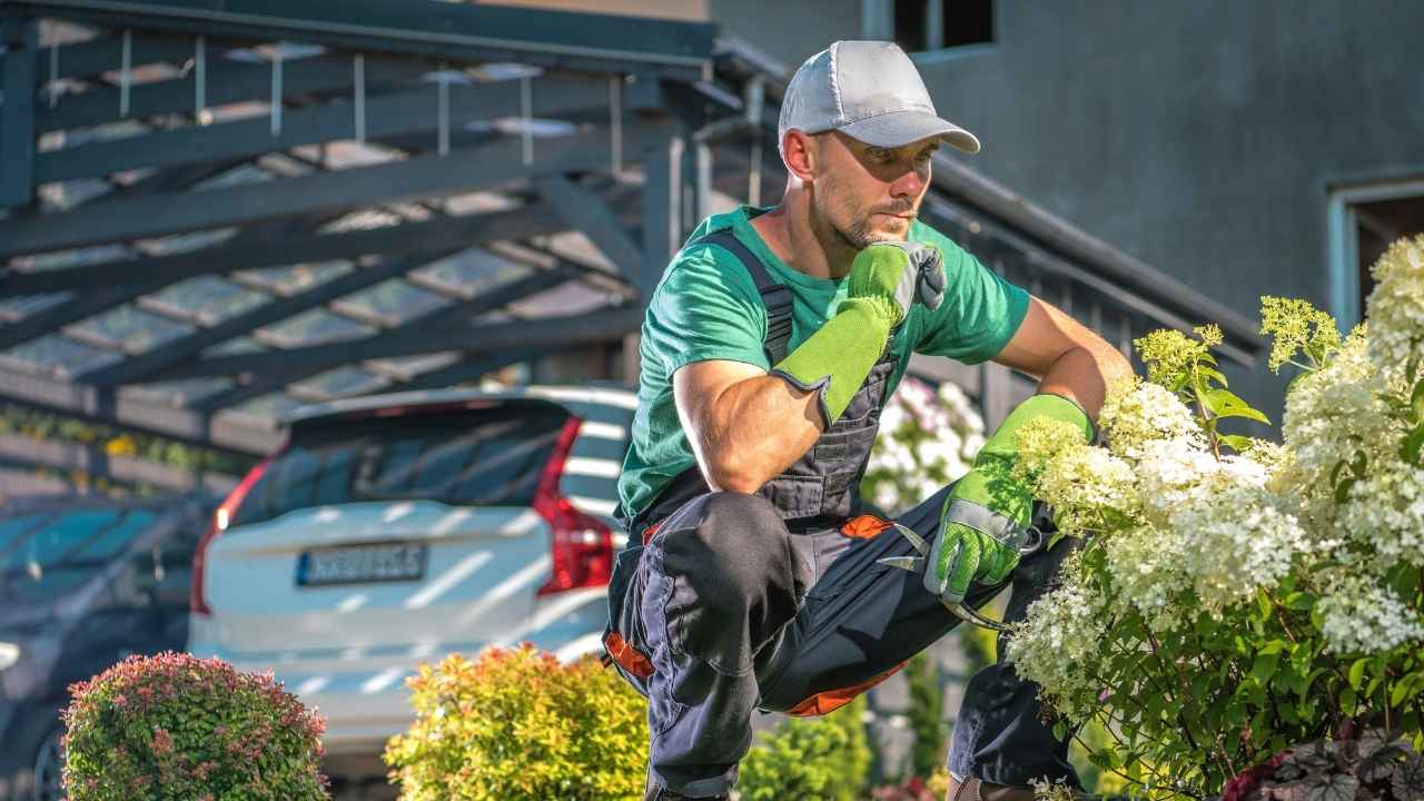 Garden Maintenance