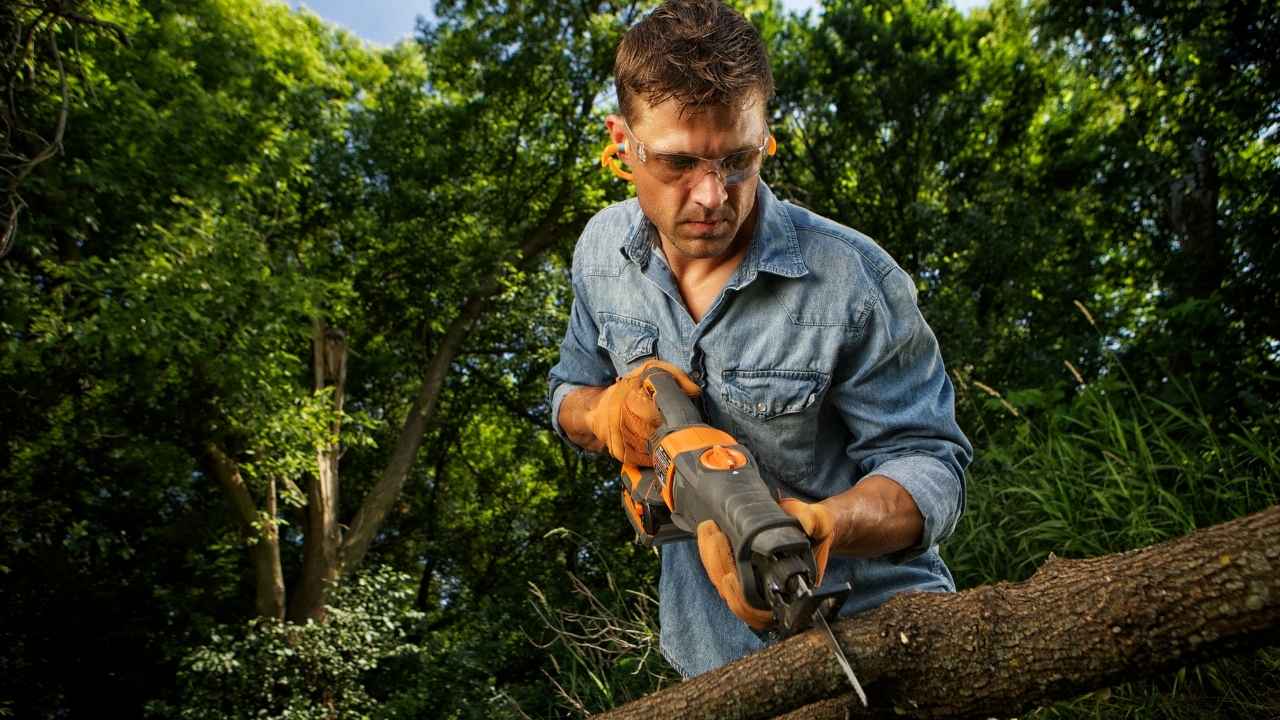 A man trimming branches of a tree 