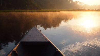 Amazon River