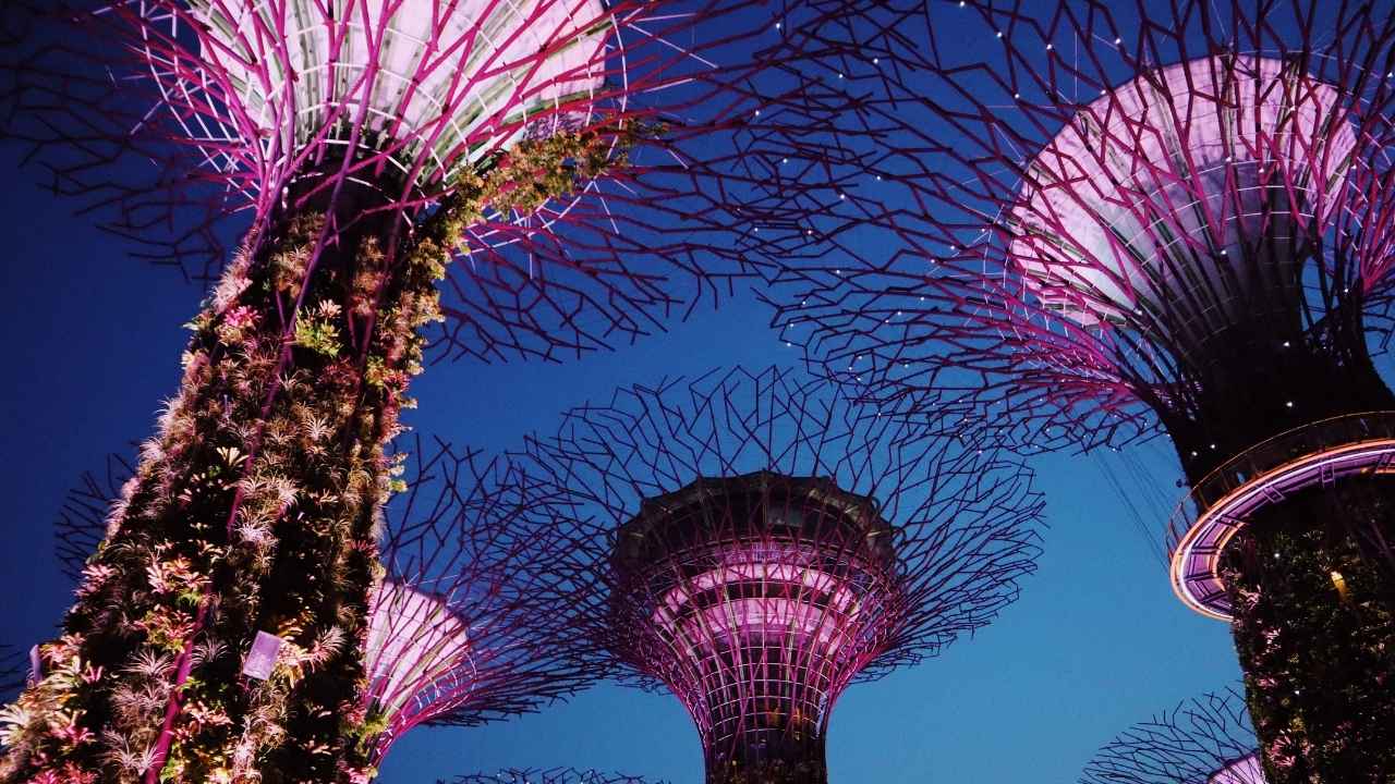 Gardens by the Bay