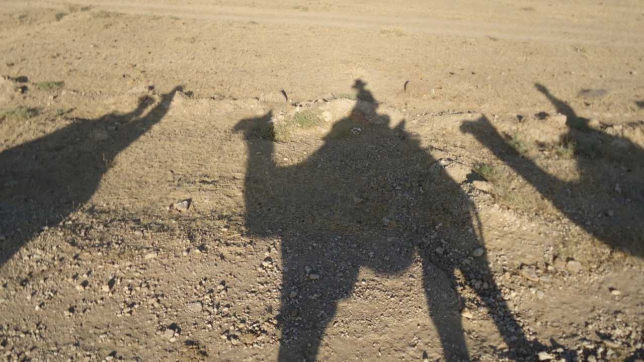 Camel trek in Rajasthan