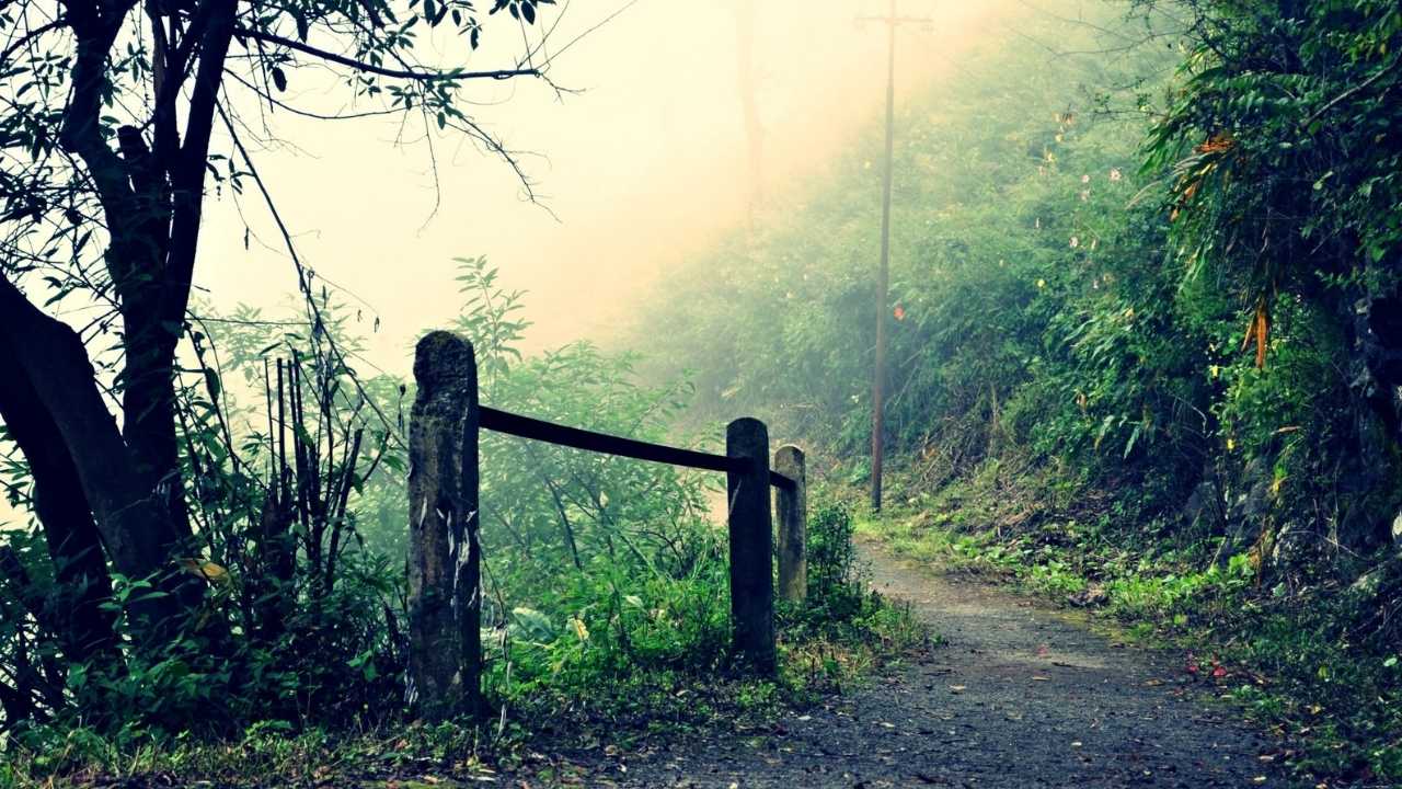 Kasauli