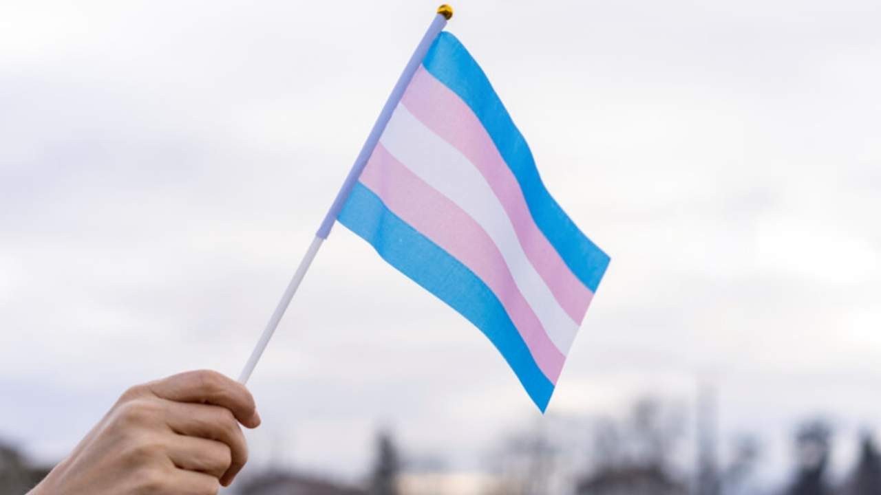 Trans flag