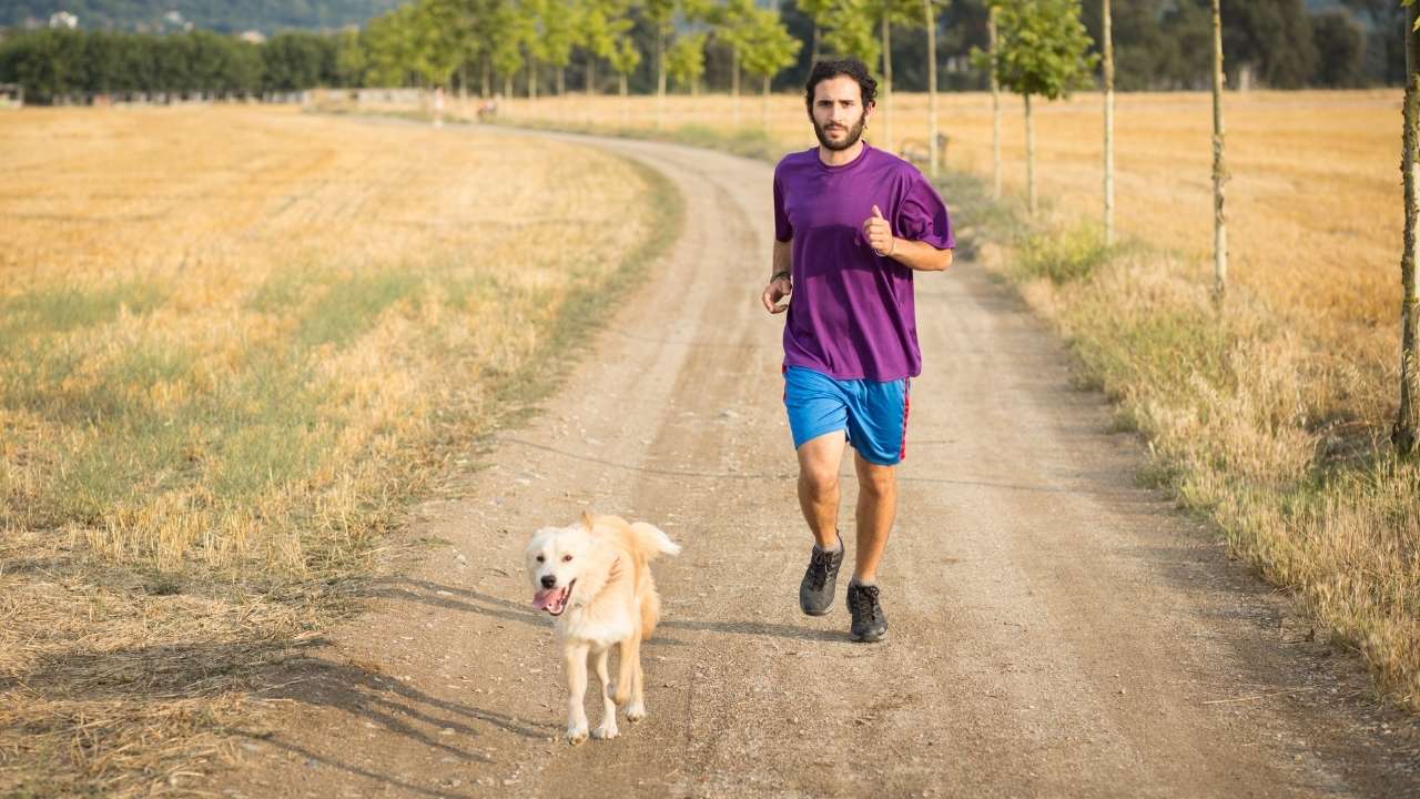 Dog with guy