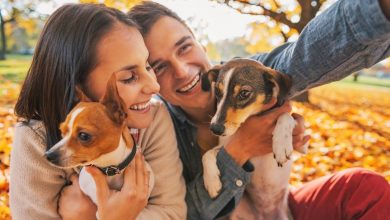 Couple with dogs