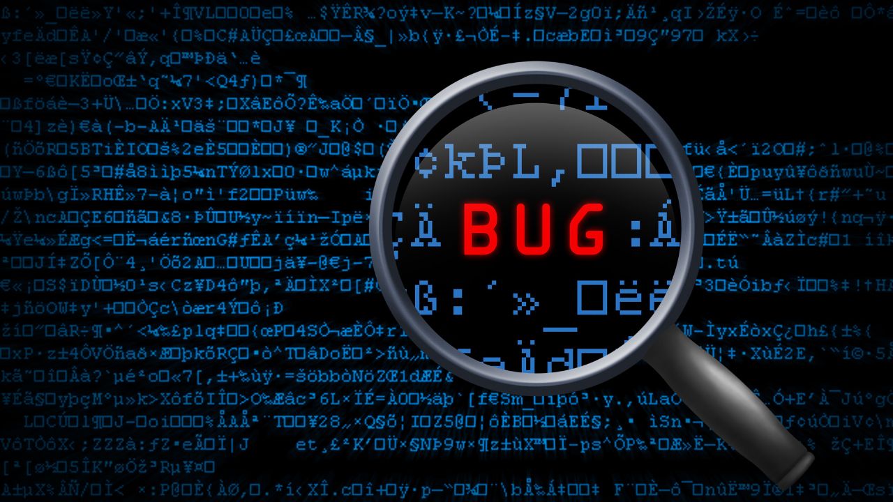 Software Testing bug