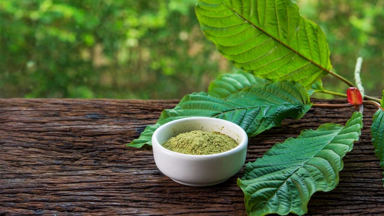 Kratom extract