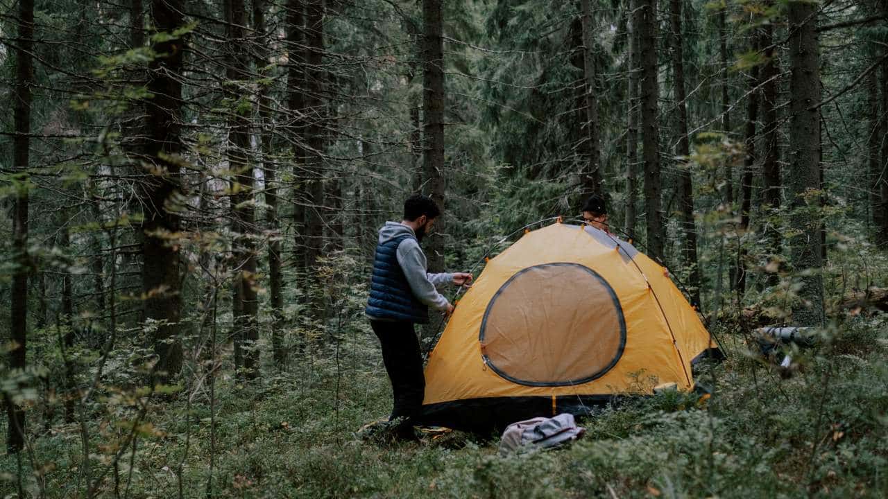 man in woods