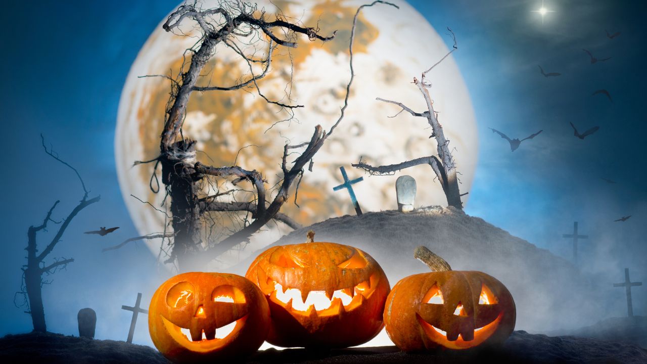 It’s Halloween day Cultural Significance Of This Festive Occasions