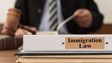 Immigration Lawyer