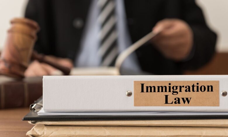 Immigration Lawyer