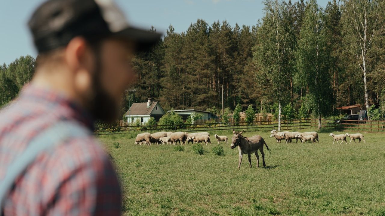 man in farm 