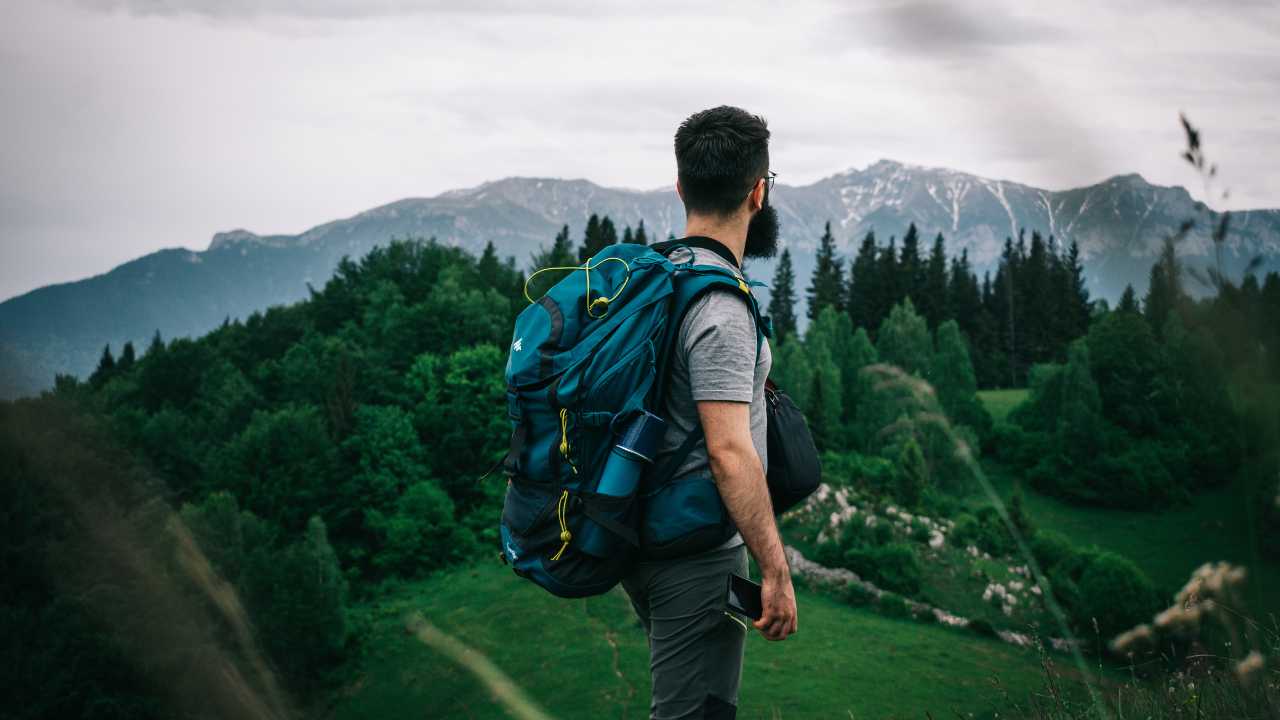 man travelling in forest