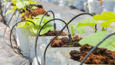 Smart garden